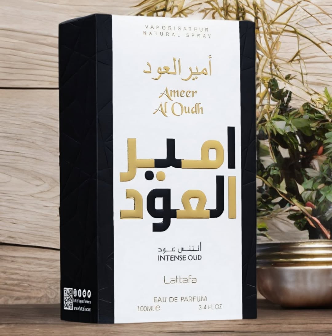 Ameer Al Oudh