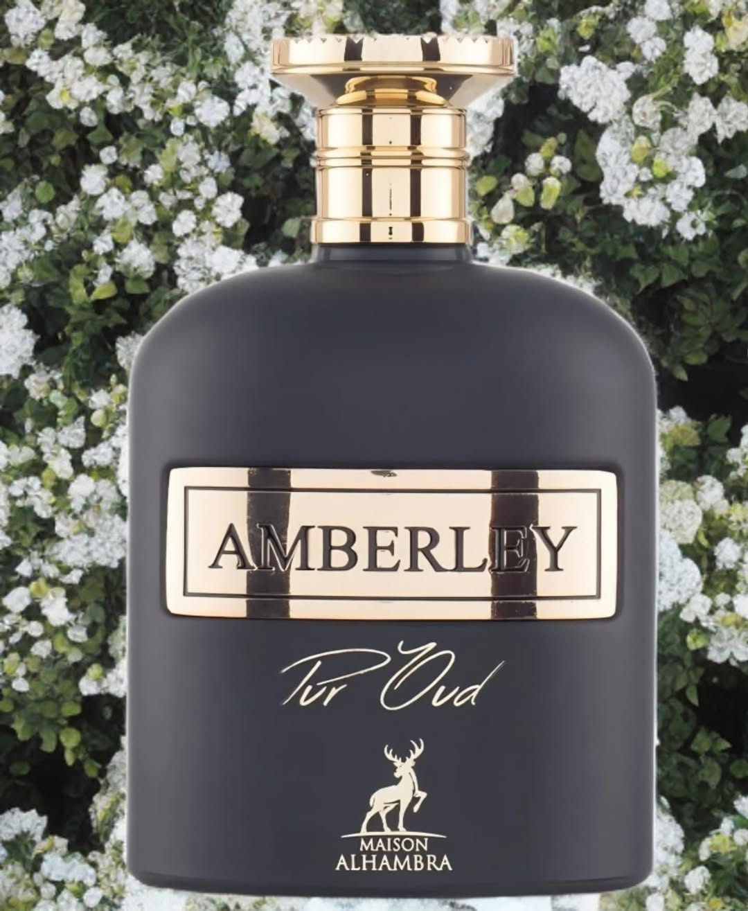 Maison Alhambra – Amberley Pur Oud Eau de Parfum
